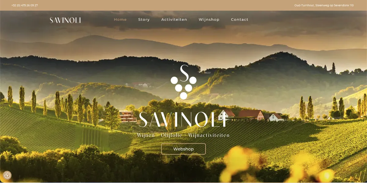 Savinoli website