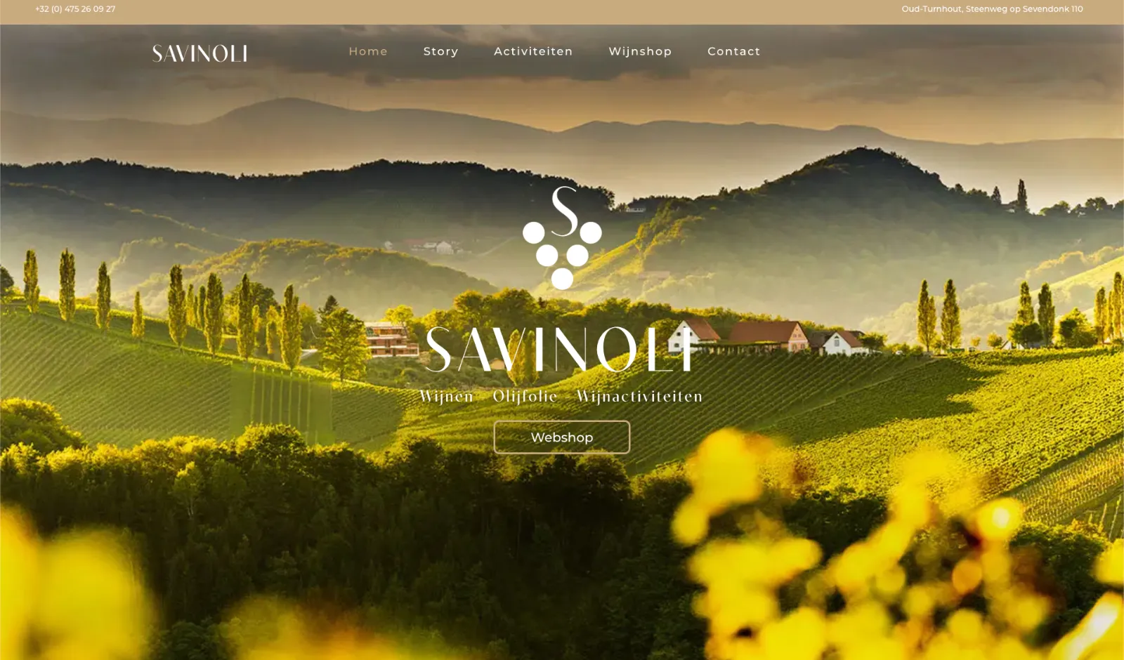 webshop Savinoli - pc